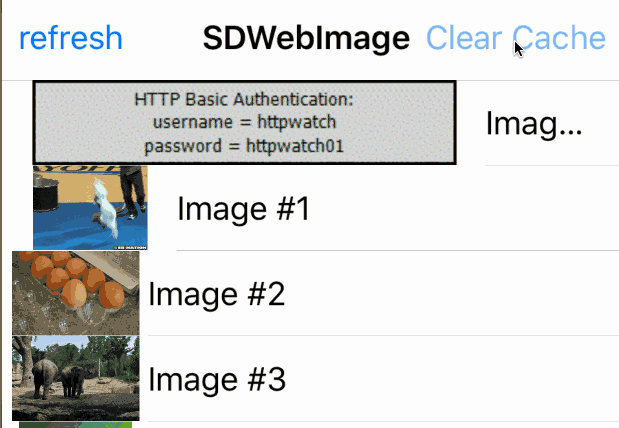 SDWebFlash.gif