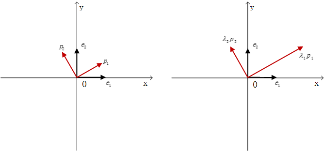 图1.目标空间中特征向量对应伸长$\lambda_i$倍