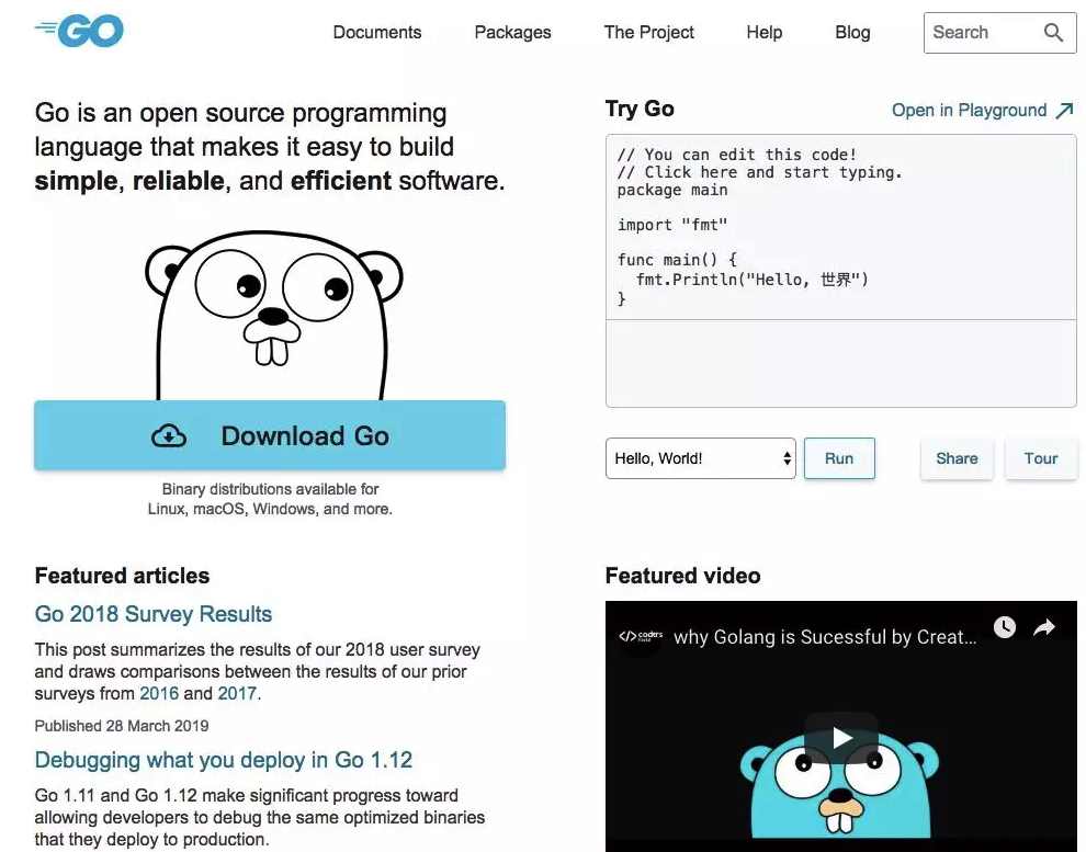 Golang context. Программа на golang. Golang язык программирования. Программирование golang книги. Golang hello World.